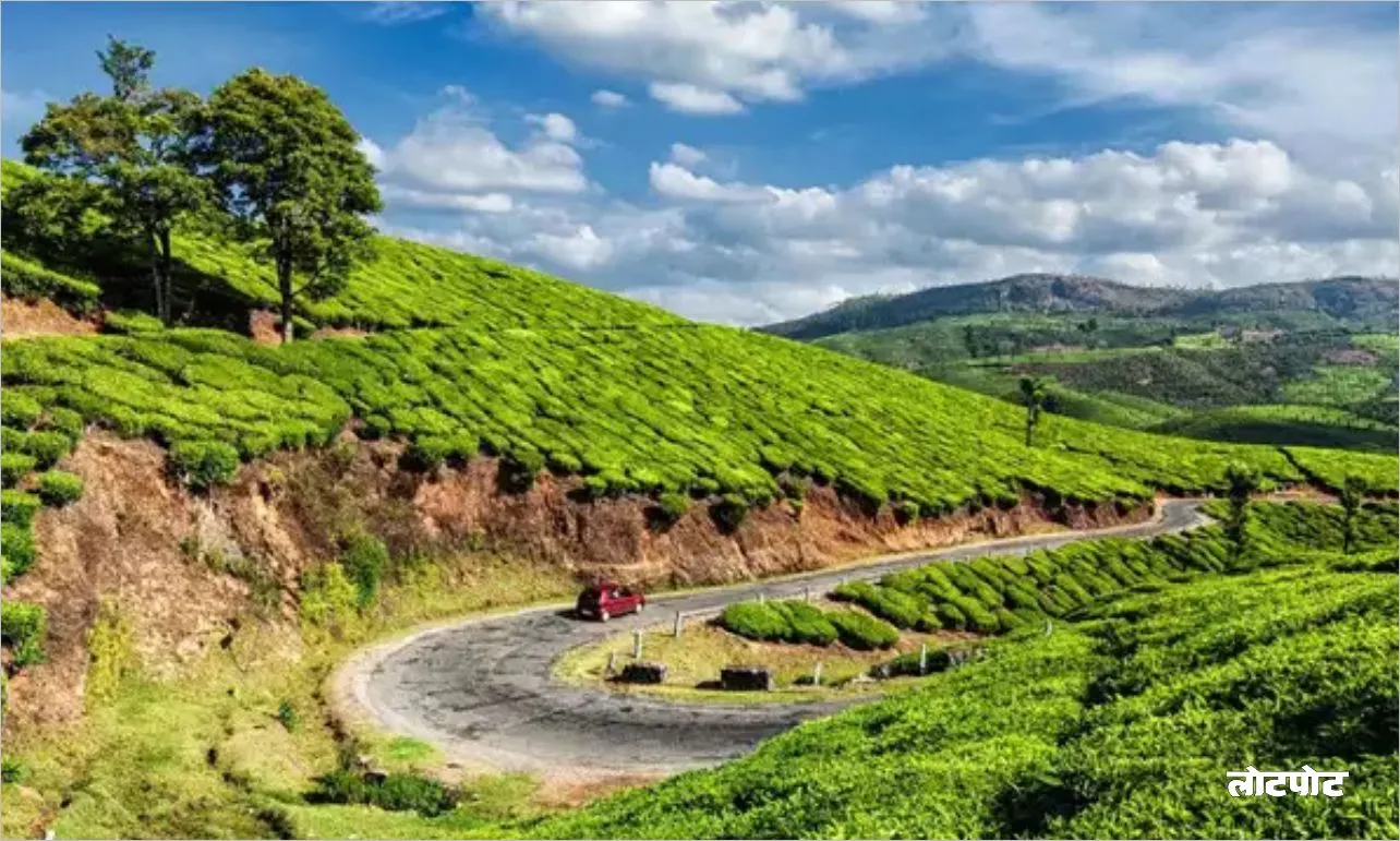 Munnar Travel A journey to get lost in the magical world of tea gardens