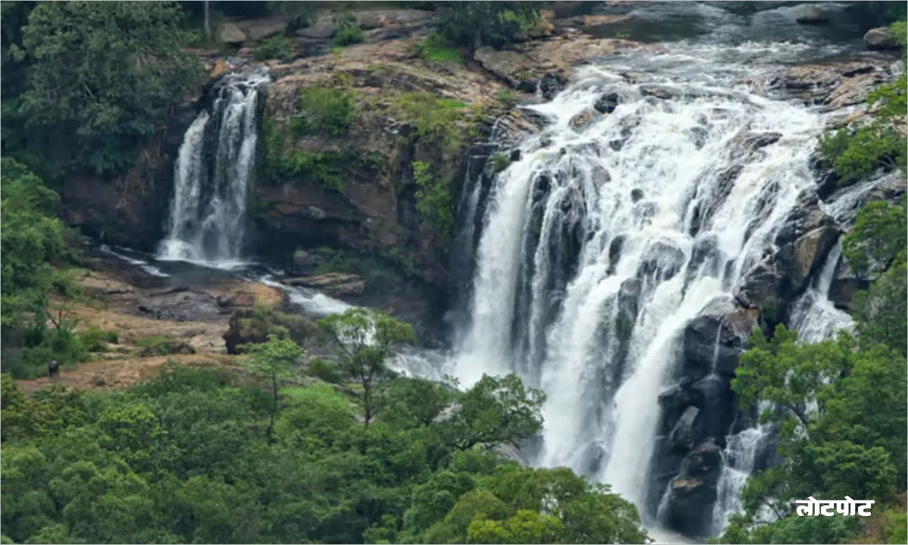 Munnar Travel A journey to get lost in the magical world of tea gardens