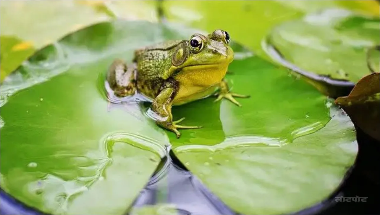 20 amazing and interest
