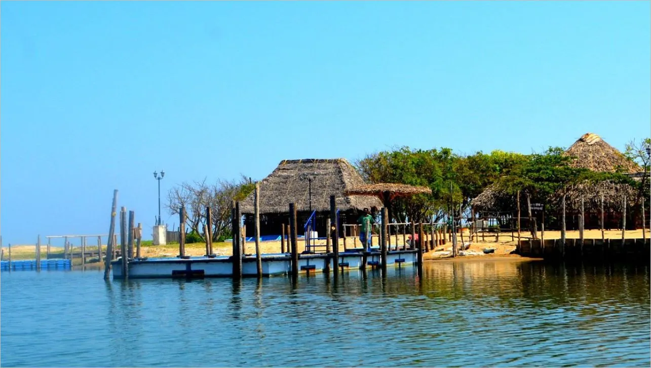 Beauty of winter 5 best places to visit in India in January