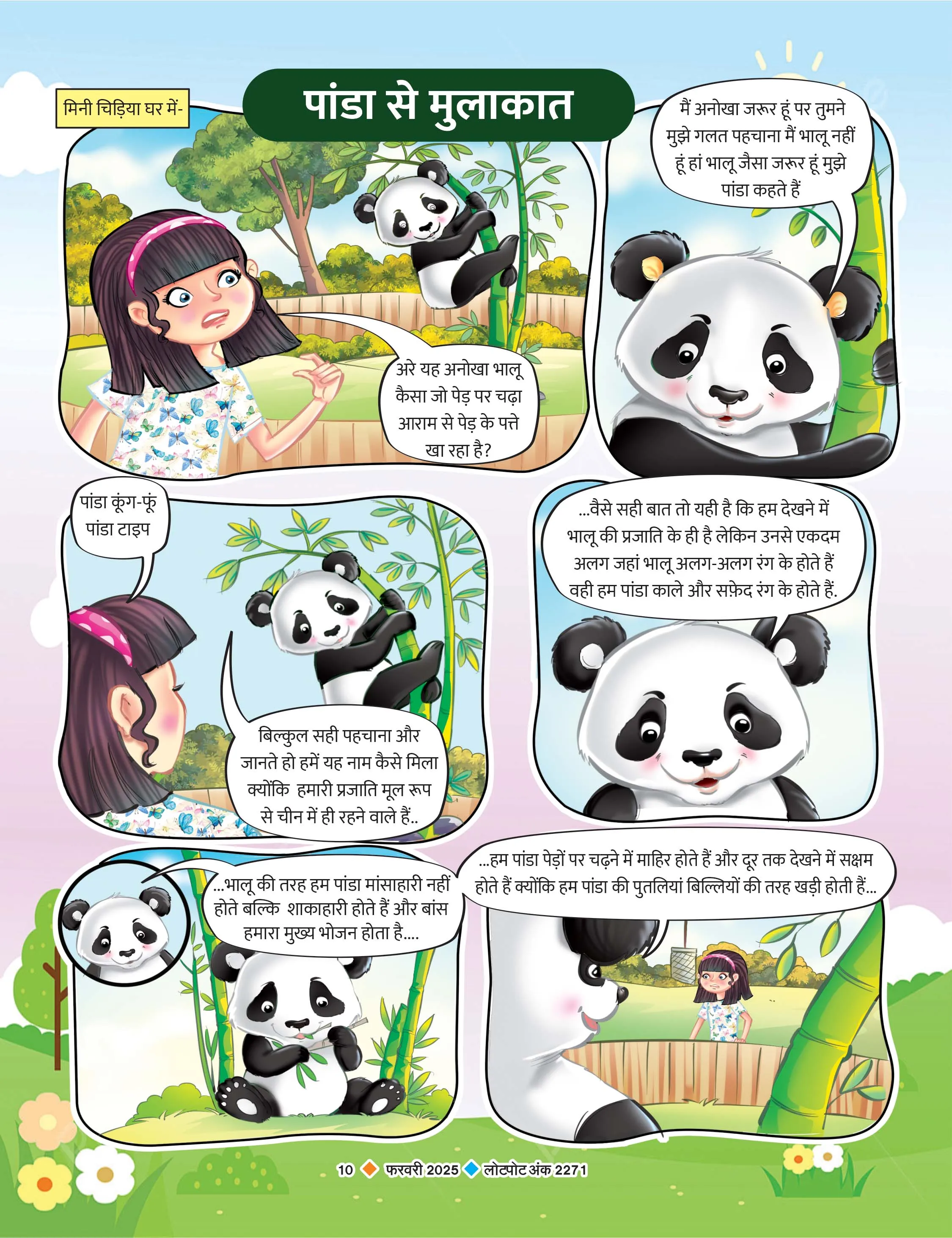 Meet with panda facts