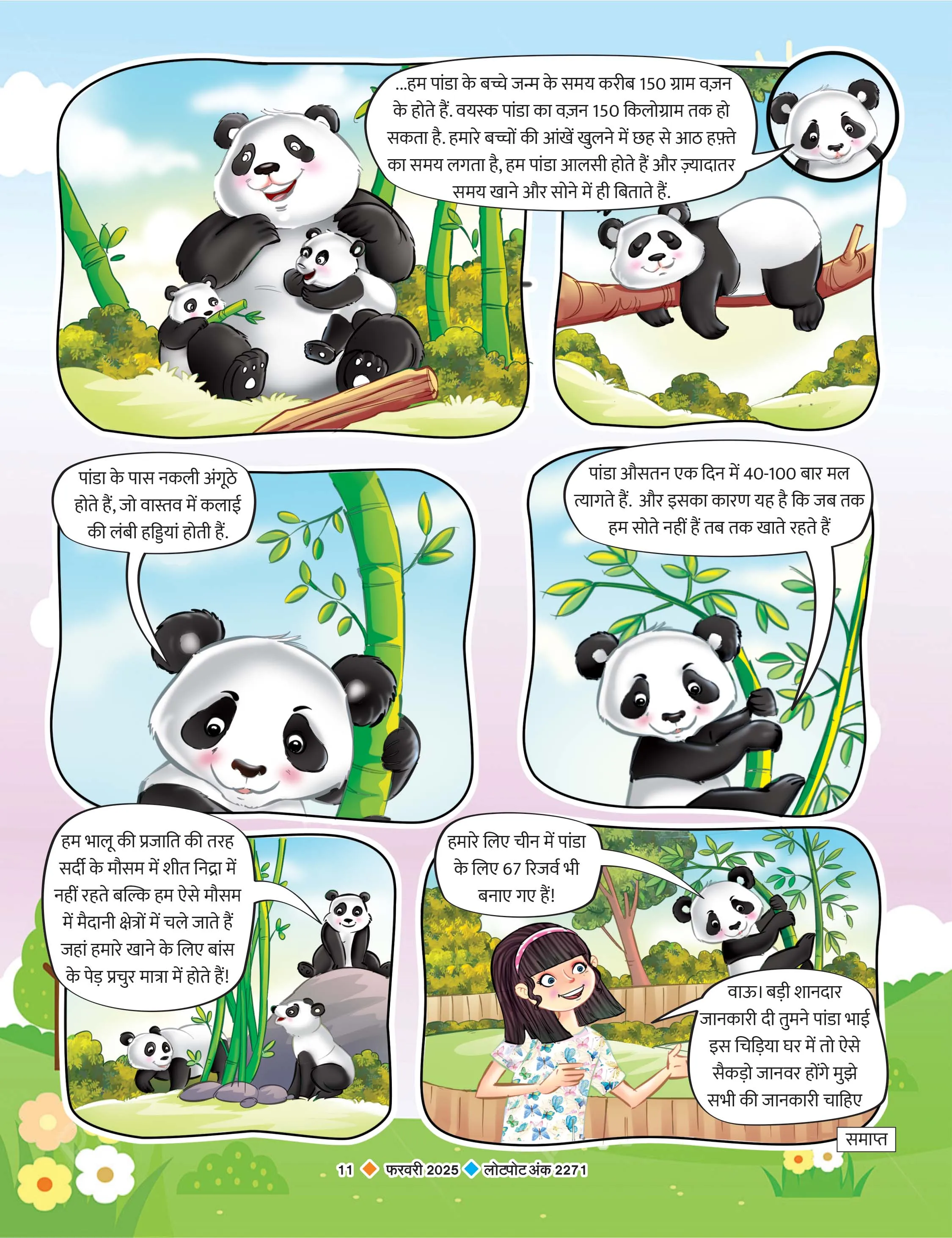 Meet with panda facts