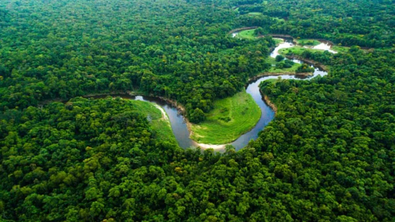 Jungle World Amazon is Amazon