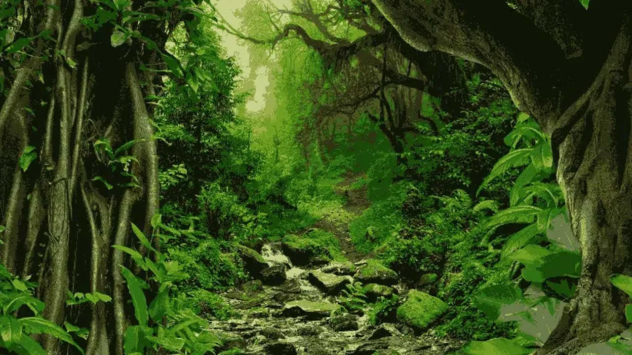 Jungle World Amazon is Amazon