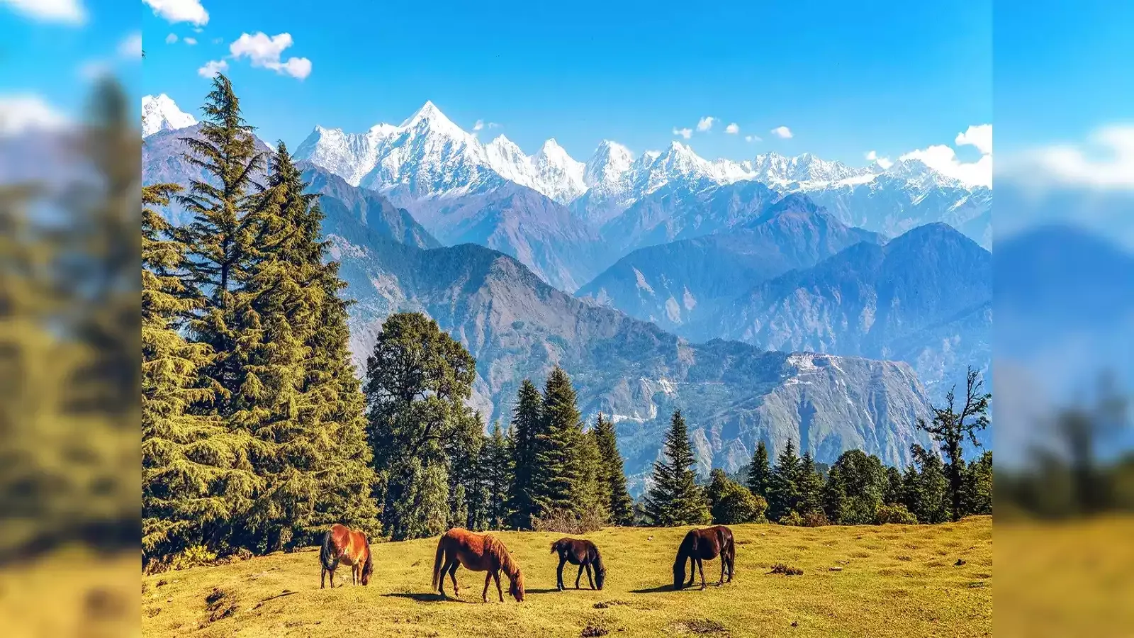 मुनस्यारी