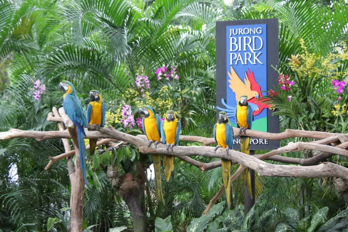 How to roam Singapore: A unique and wide travel guide for children