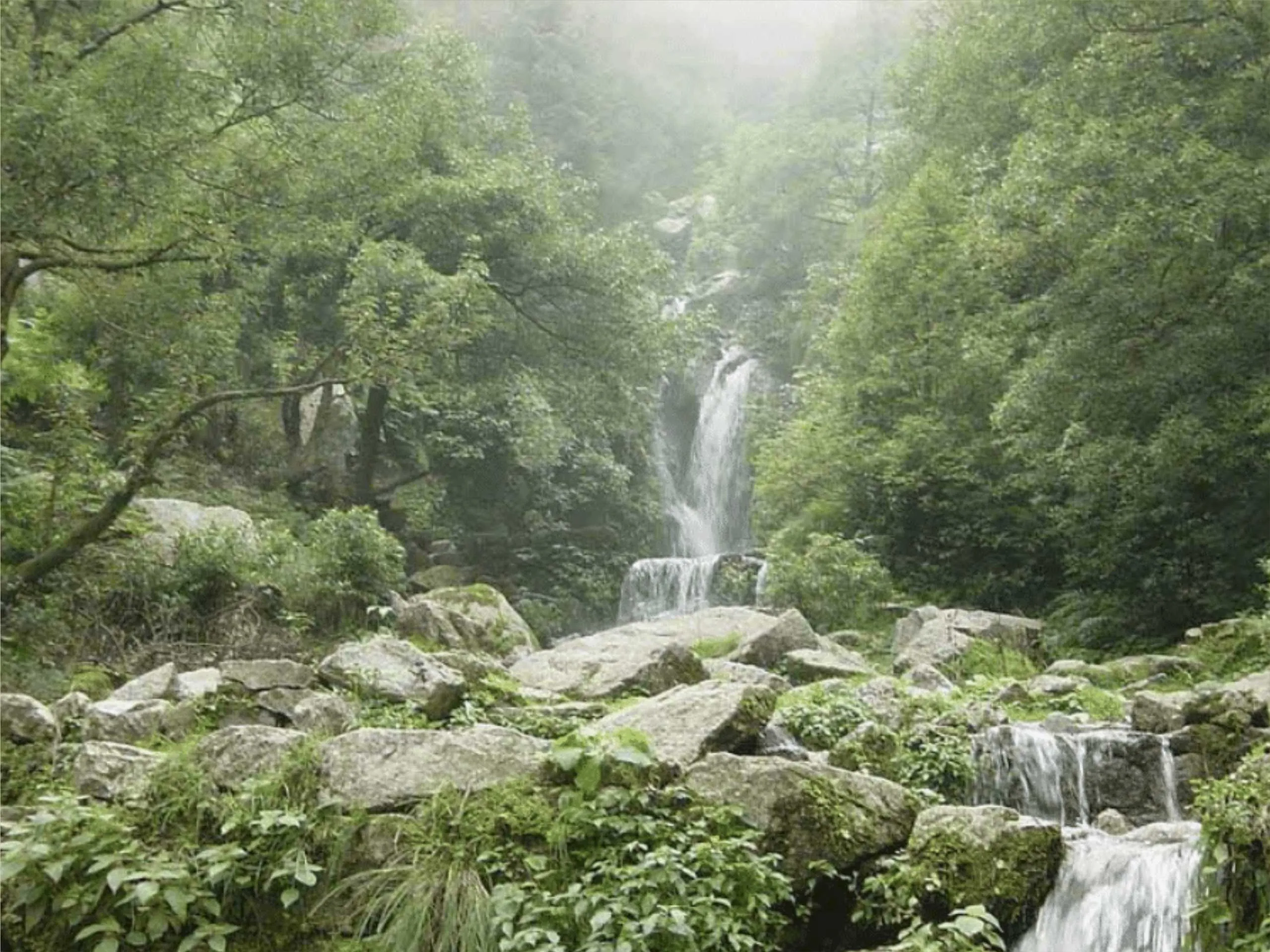 Pachpula waterfalls dalhousie 