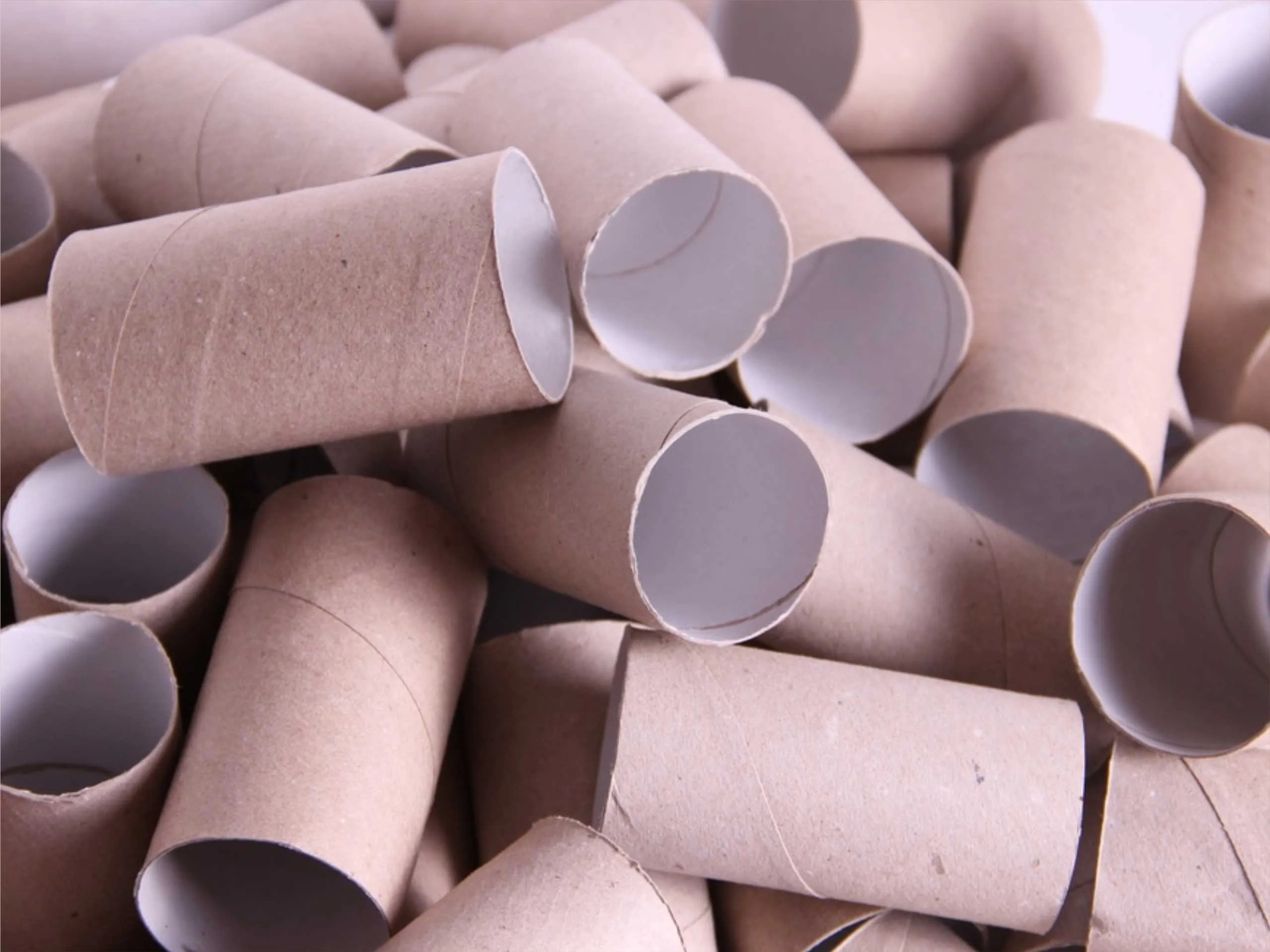 Tissue paper rolls