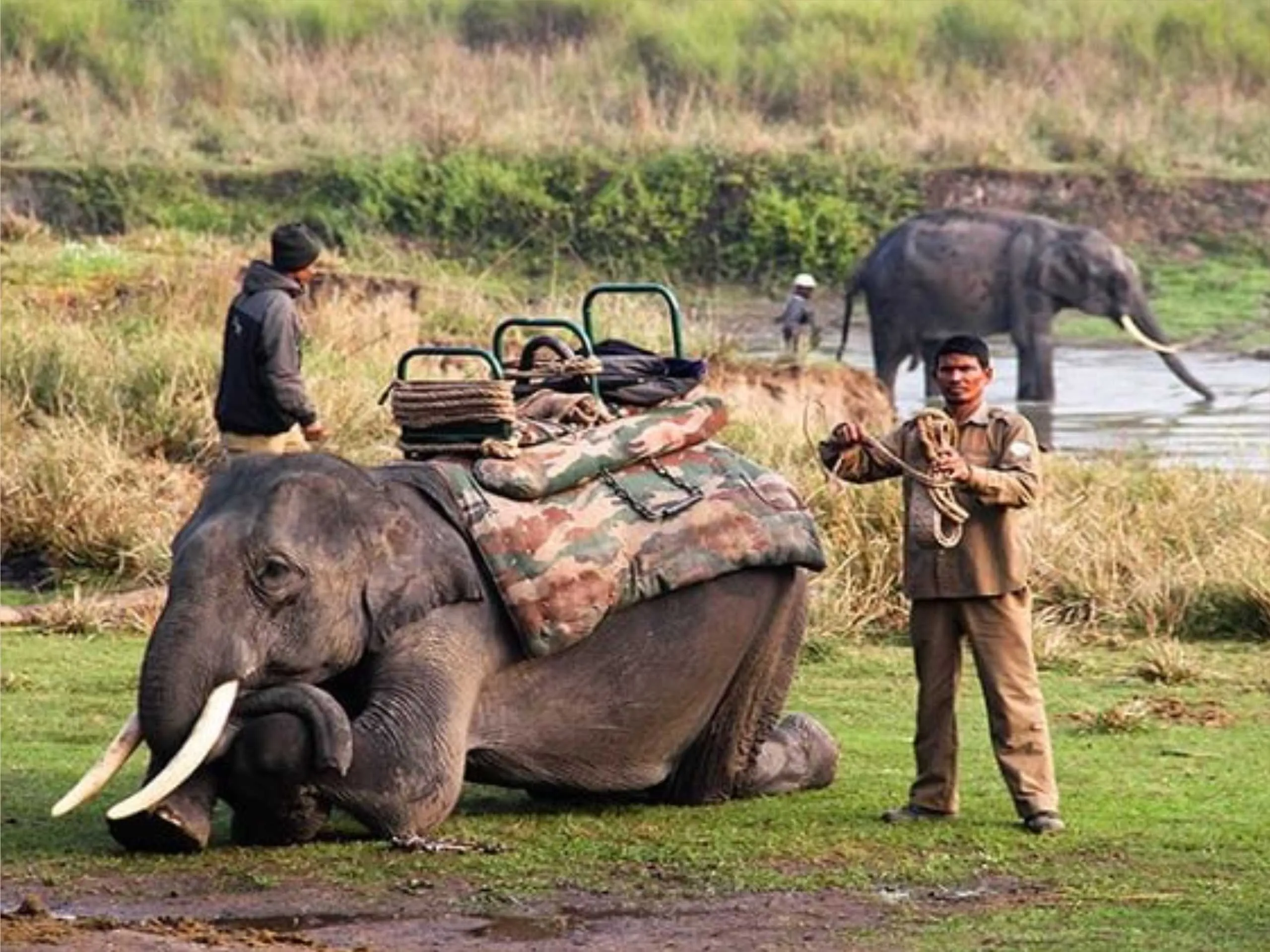 Jim corbett national park