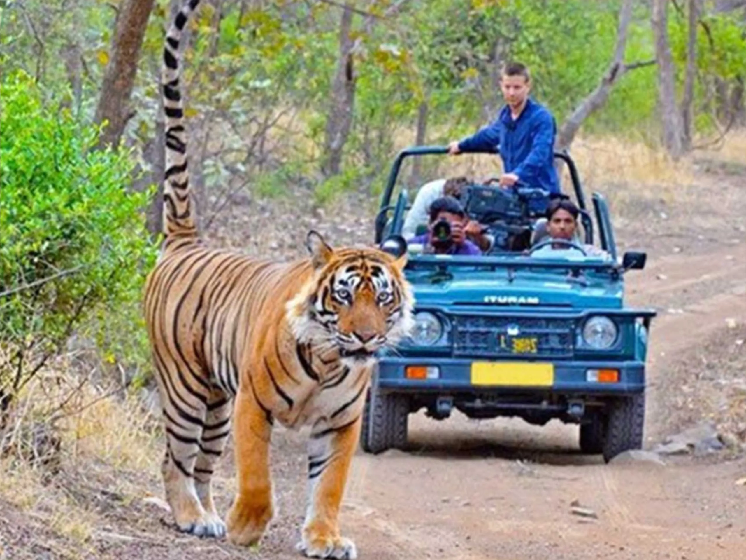 Jim corbett national park