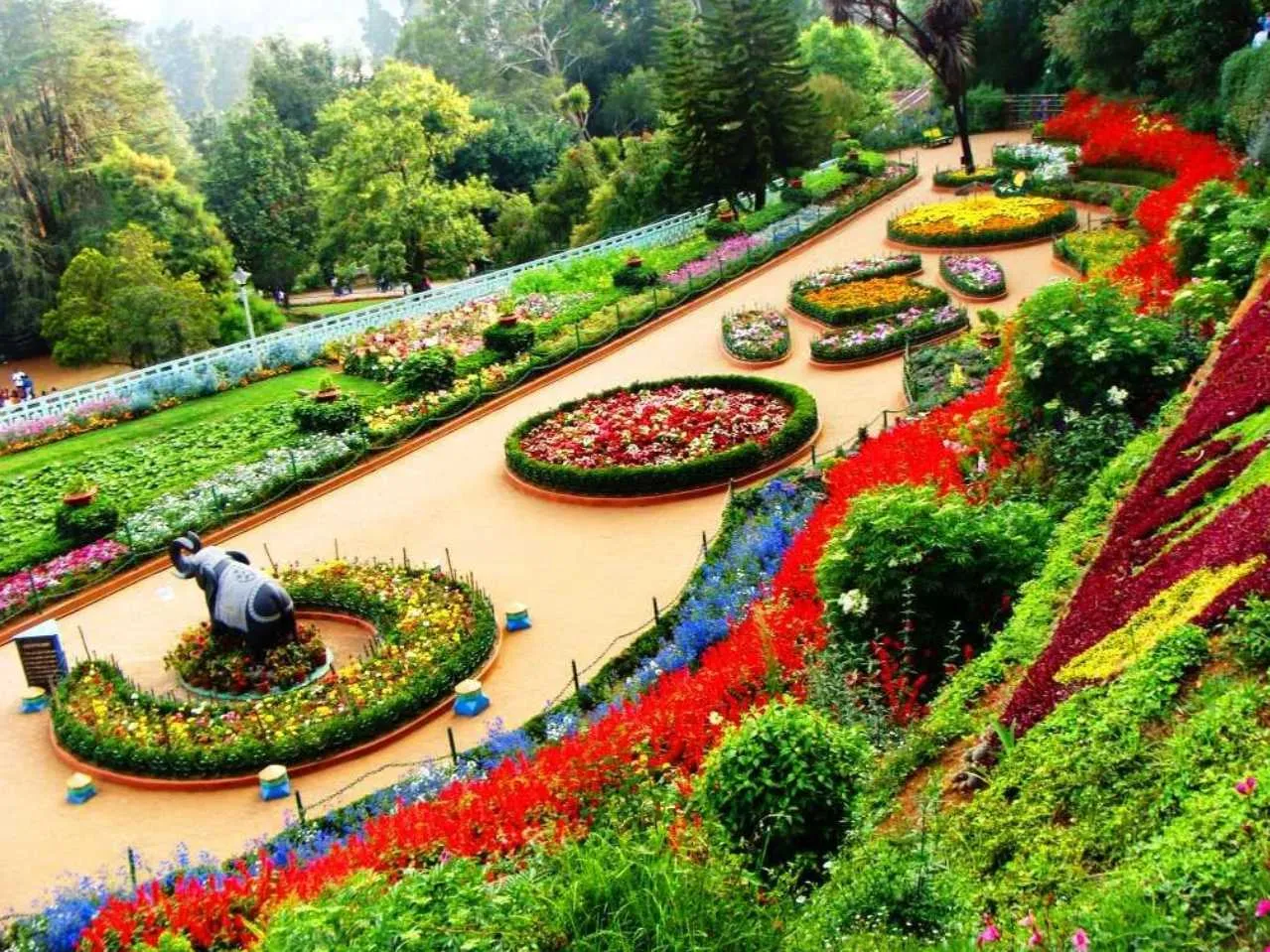 rose garden Ooty