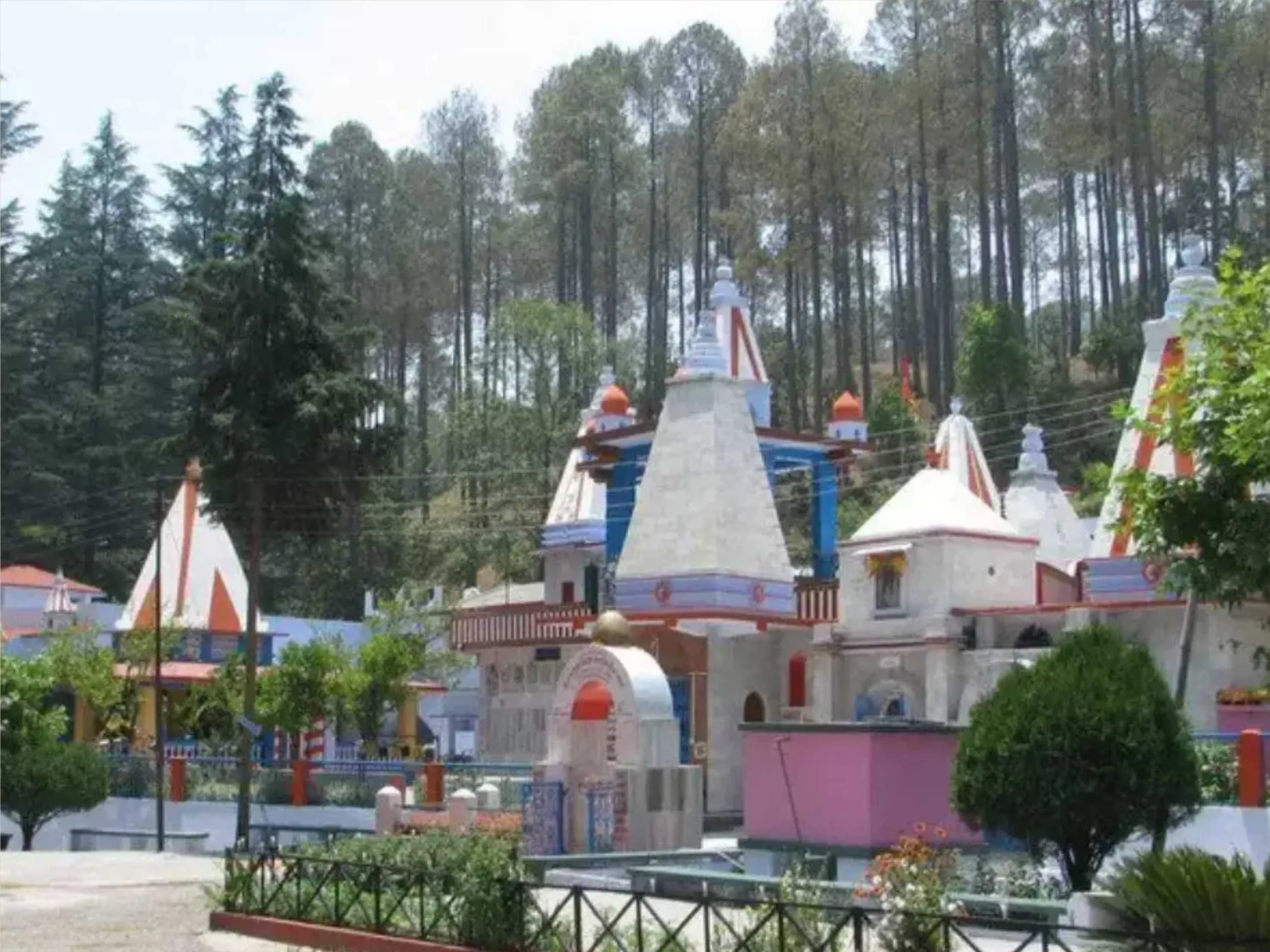 binsar