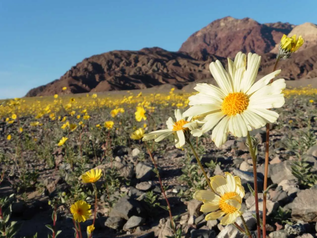 death valley