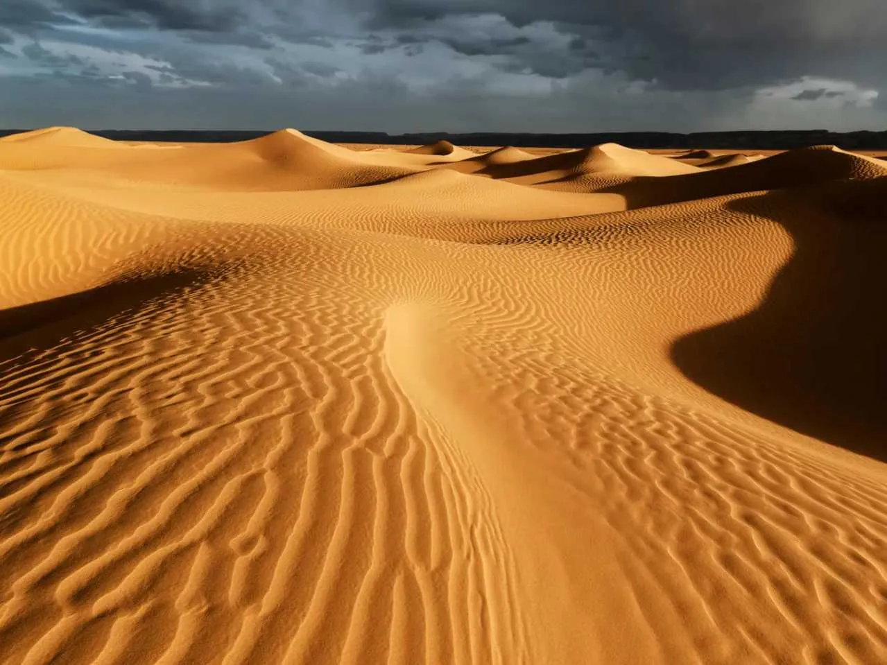 sahara desert