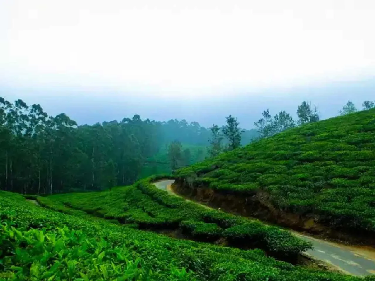 hills of mebang