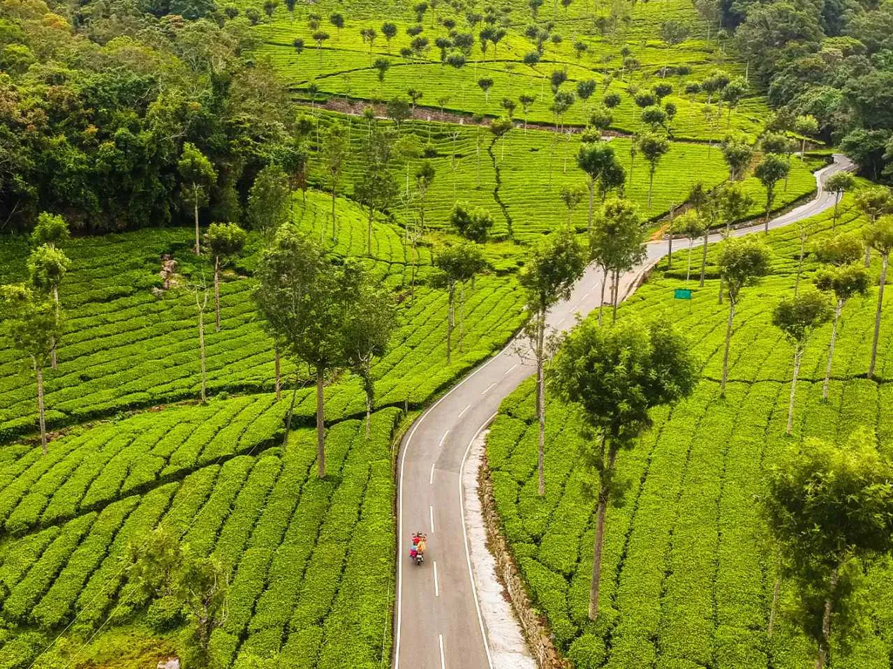 kotagiri hills Ooty