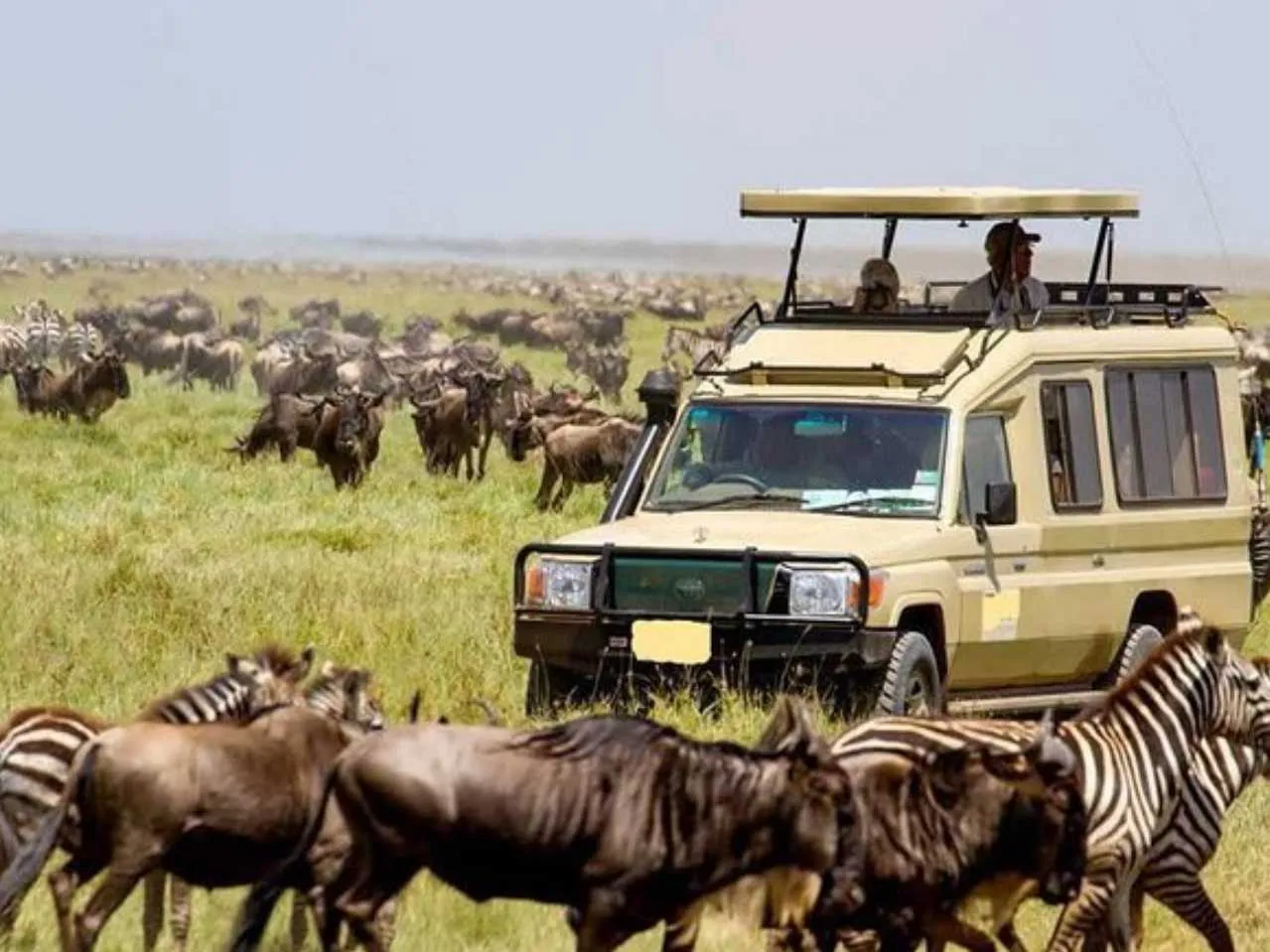 National park Nairobi