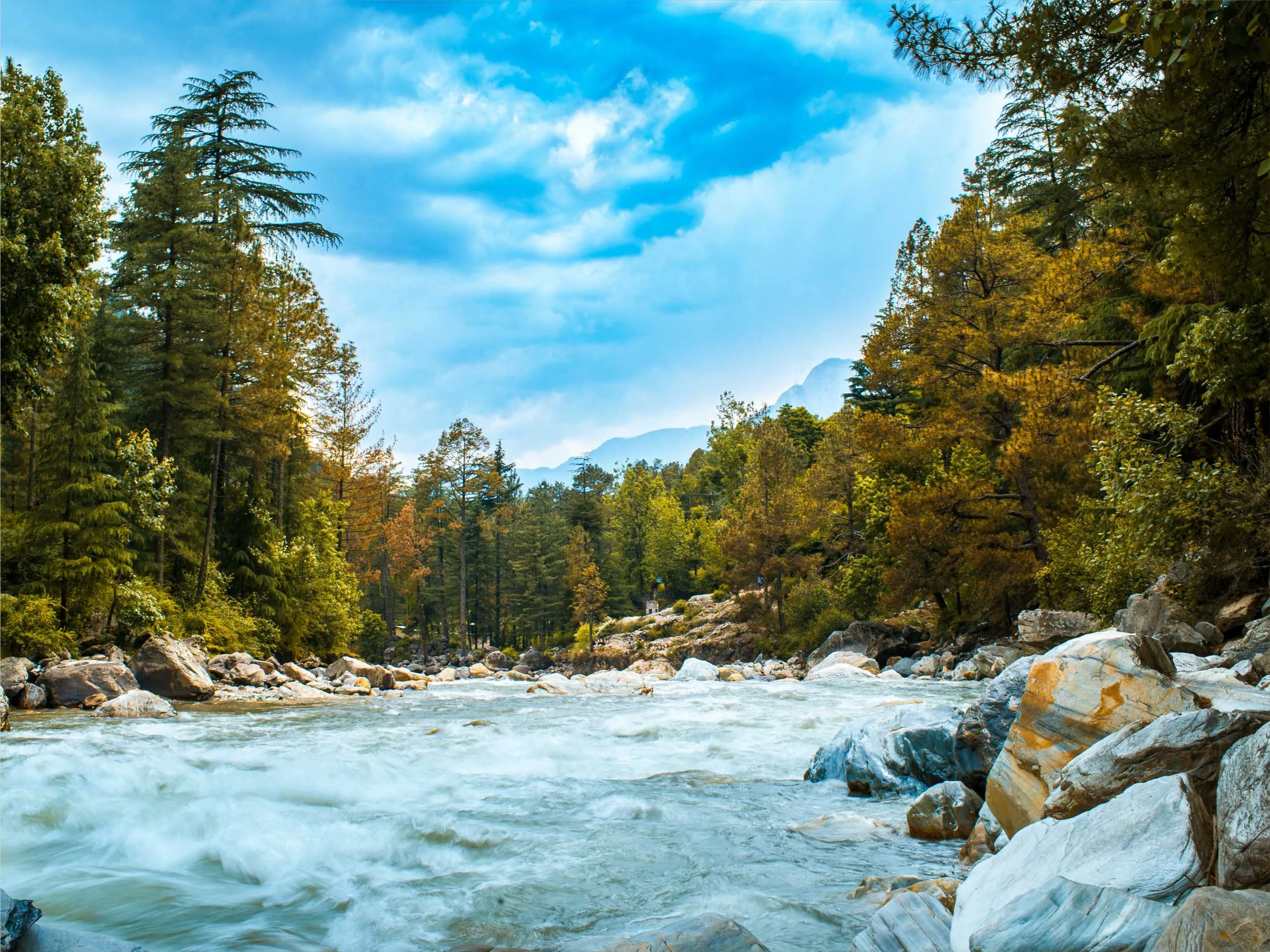 kasol