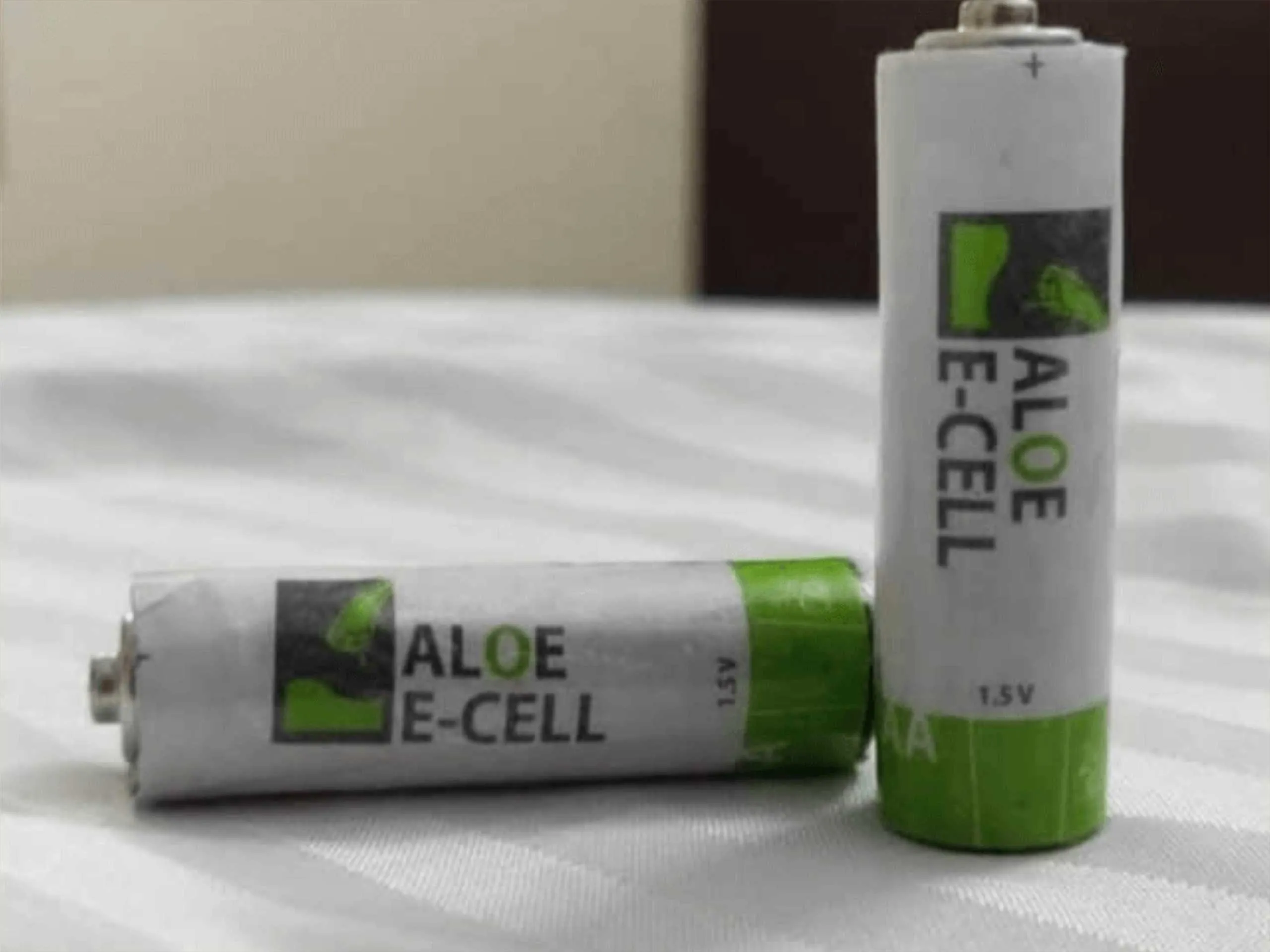 eco friendly battery