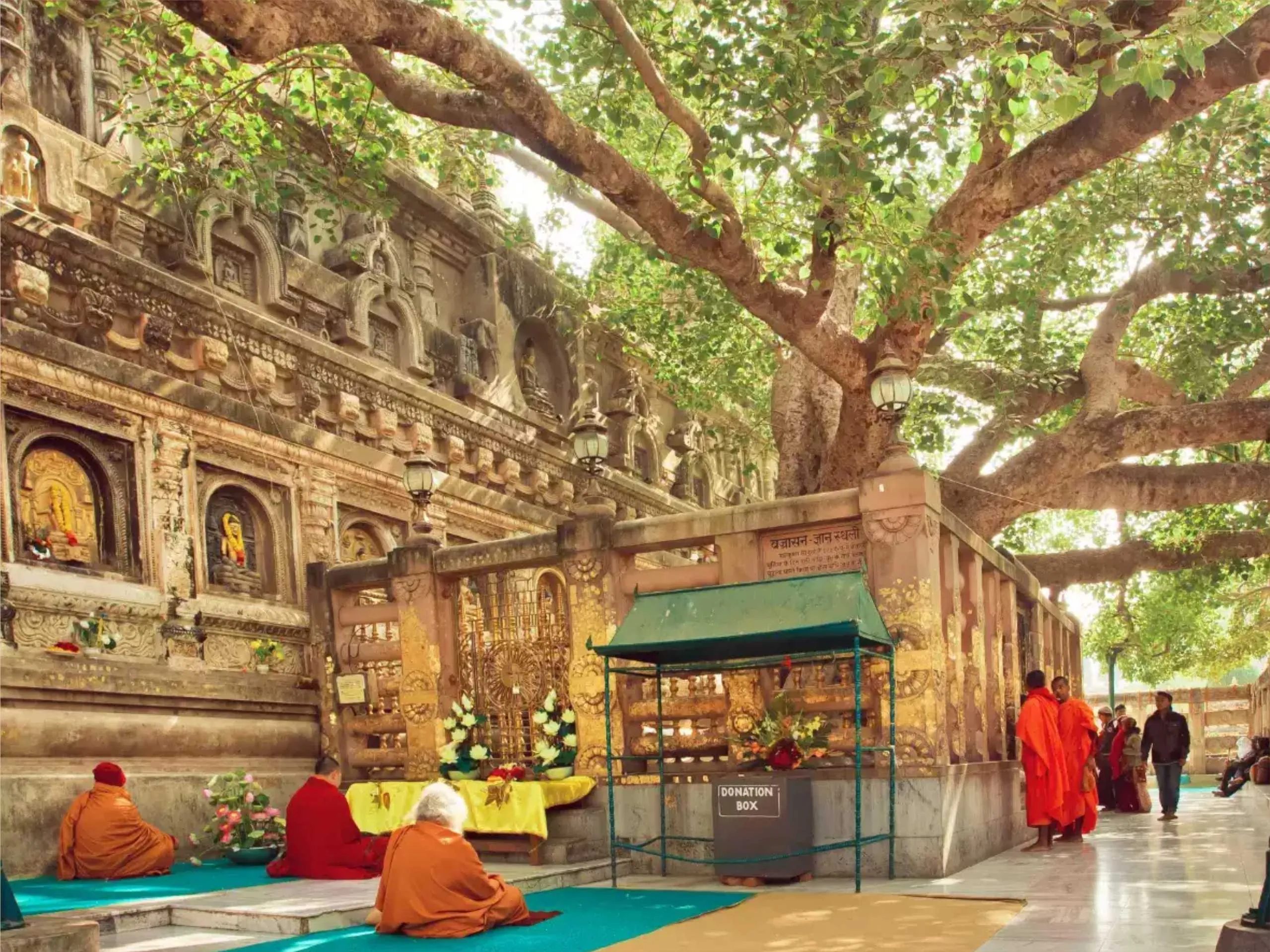 bodhgaya