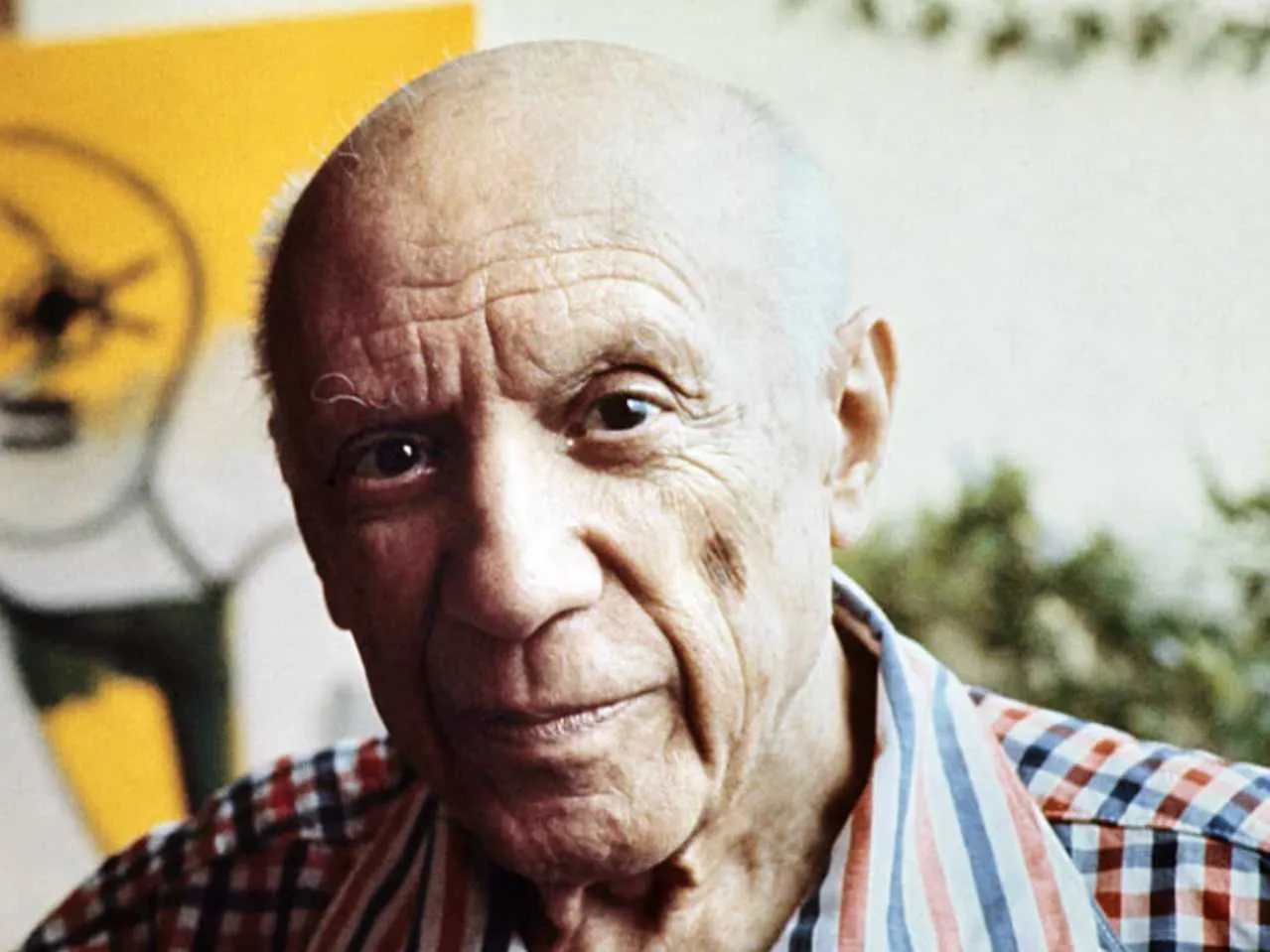 Artist picasso