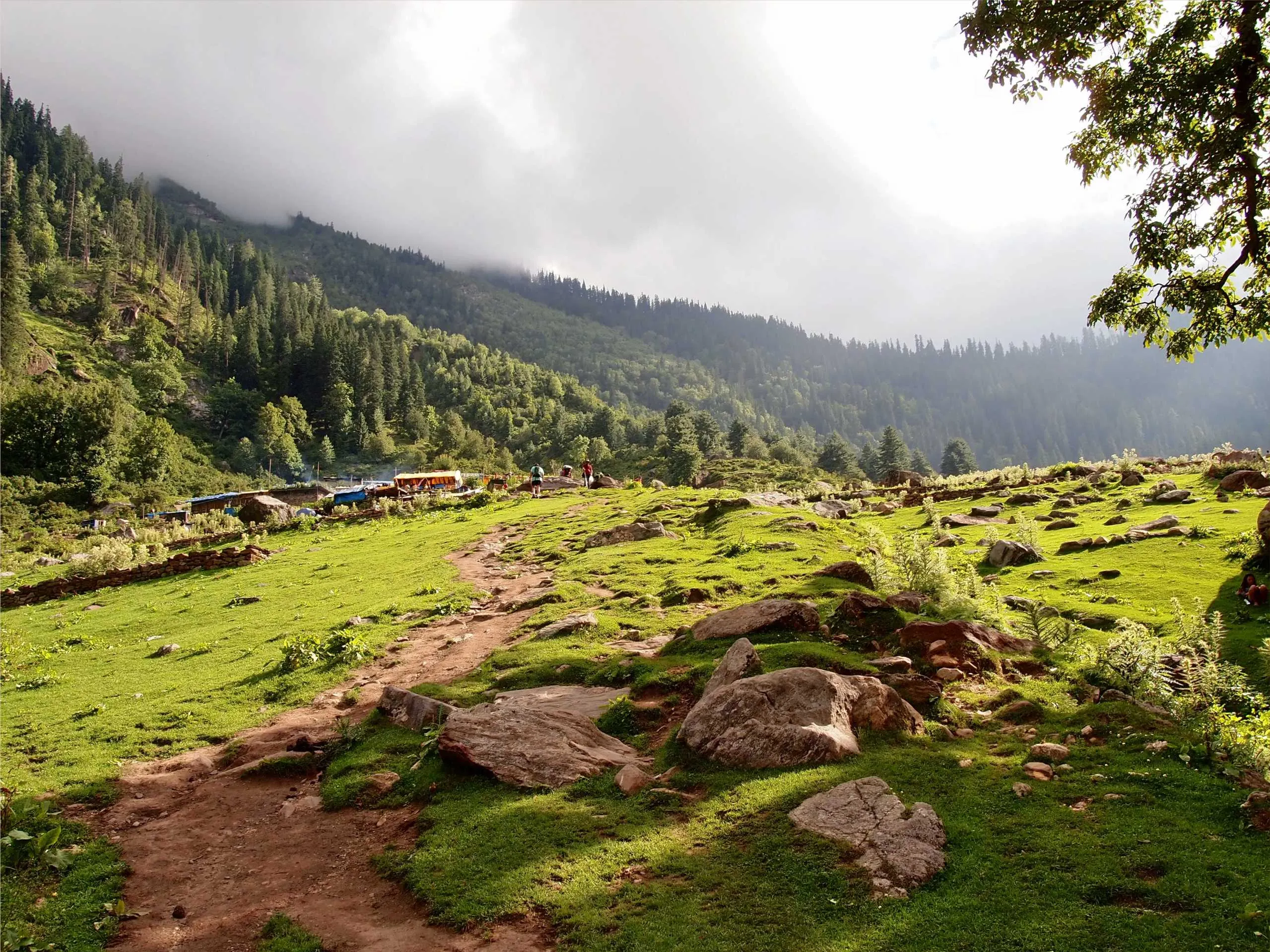 kasol