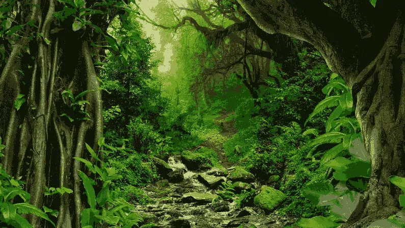 Some of the largest and most unique forests in the world
