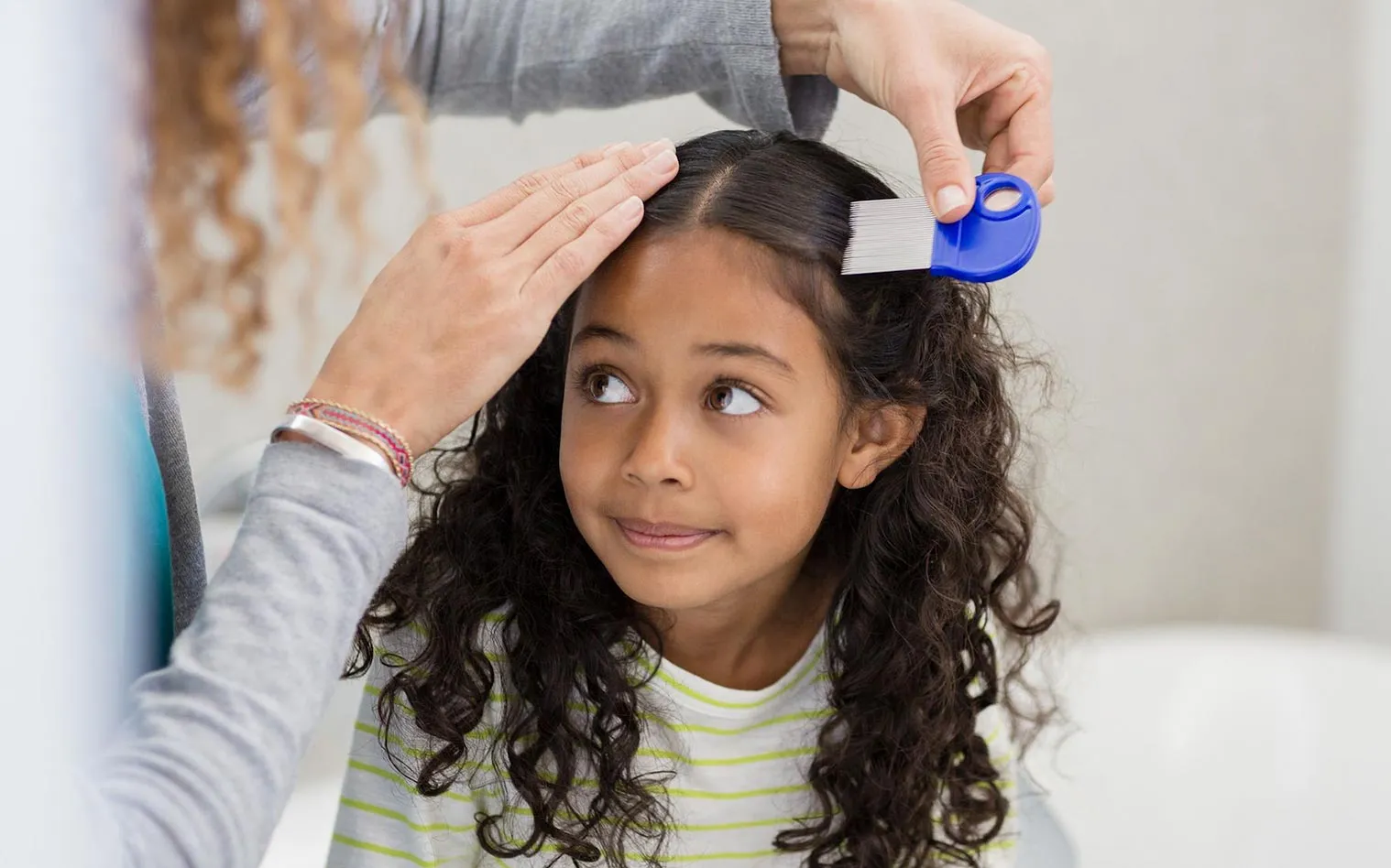 What is head lice? What are its symptoms and treatment