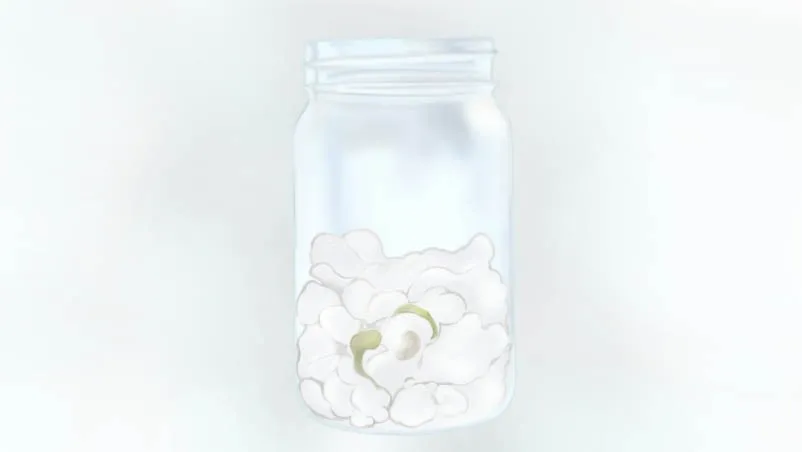 Easy Craft: How to grow a Lobhia in a jar