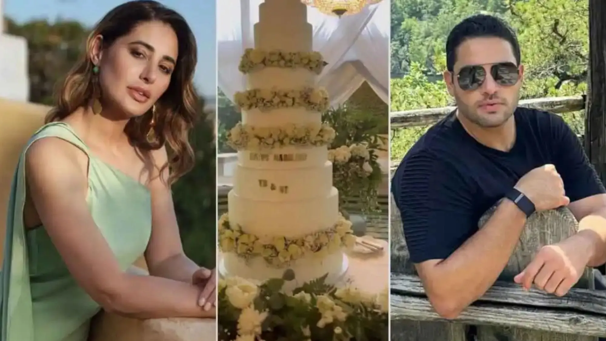 Nargis Fakhri  Wedding Tony Beig
