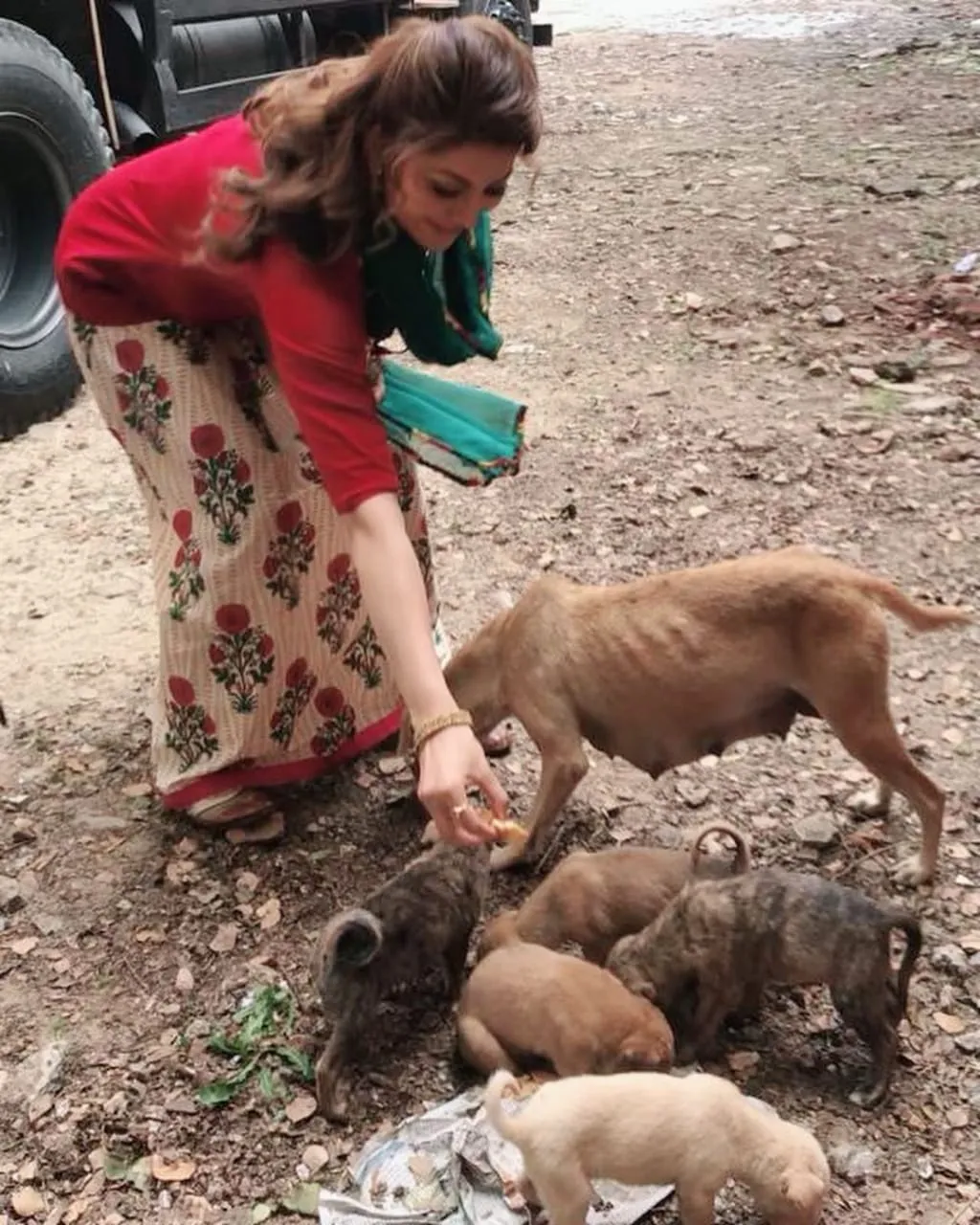 उर्वशी रौतेला ने लॉकडाउन के बीच भूखे आवारा जानवरों के दुःख को समझा।