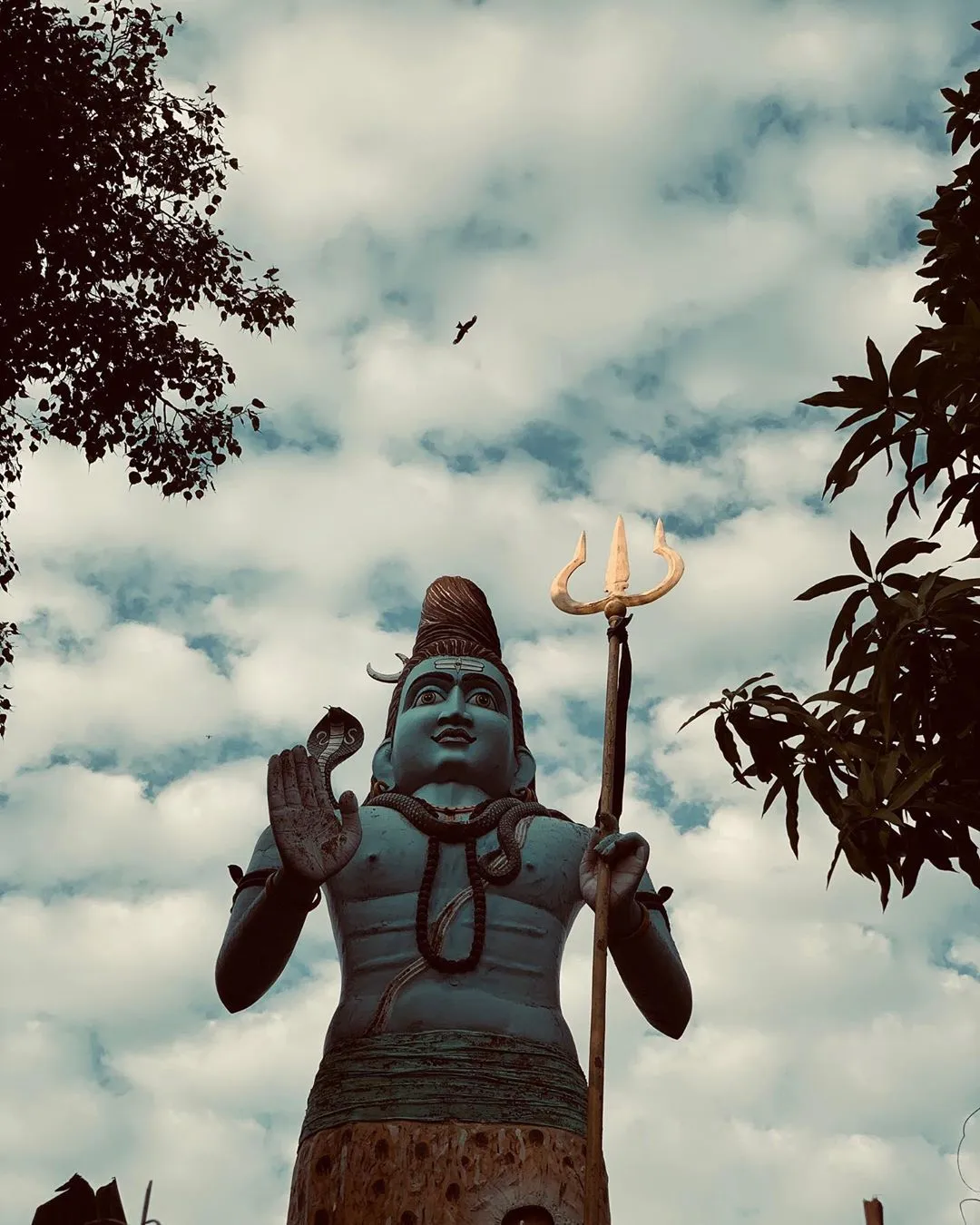क्या आपने ताहिरा कश्यप की "साइकिलिंग क्रोनिकल्स" के बारे में सुना है