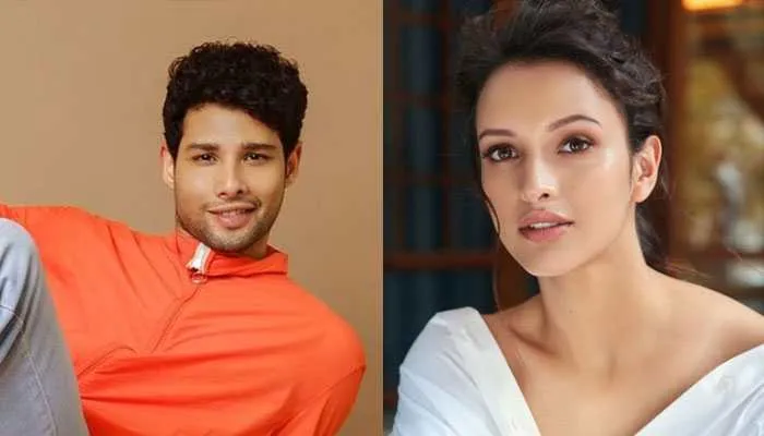 Siddhant Chaturvedi Joins Forces With Tripti Dimri In Dhadak 2 | Movies  News | Zee News