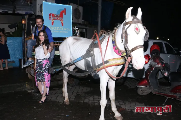 Aamir Ali and Sanjeeda posing on Baggi