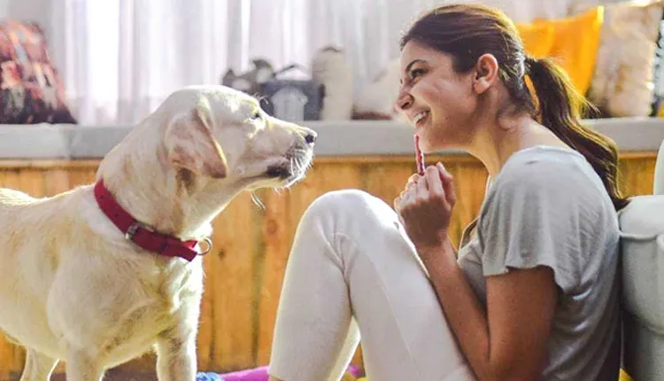 अपने Pets पर जान छिड़कते हैं ये बॉलीवुड स्टार्स...देखें तस्वीरें