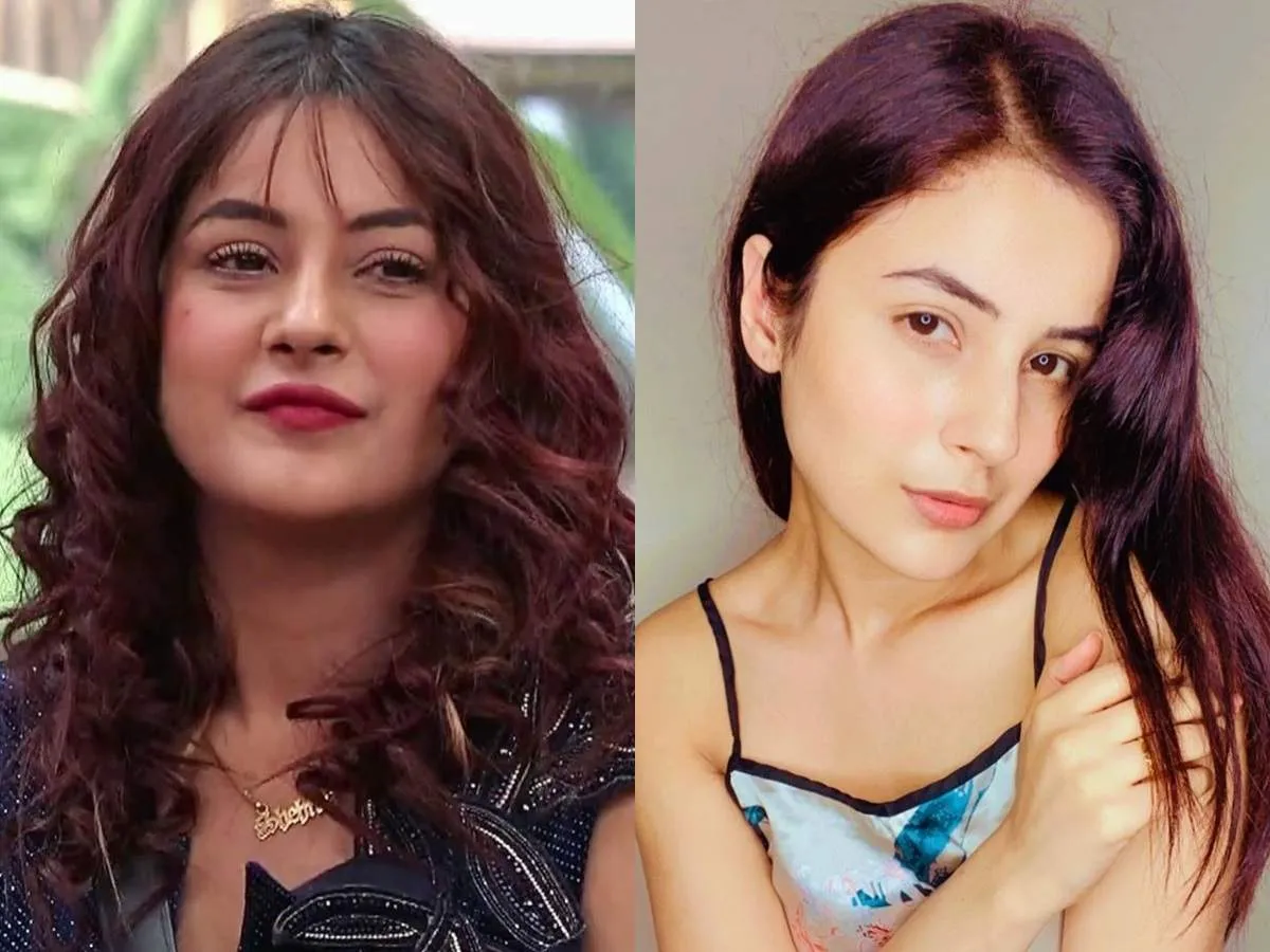 ‘तौडा कुत्ता’ की लड़की शहनाज गिल, डांसिंग सनसनी के साथ धर्मेश ने बिग बॉस के घर में प्रवेश किया 