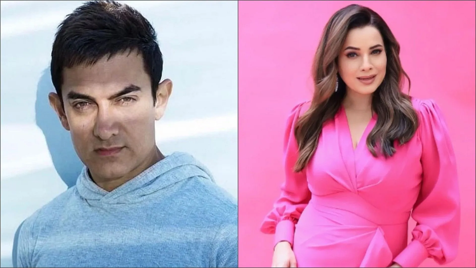 Aamir Khan Very Particular To His Scenes And Acting Neelam Kothari Shared  The Memories Of Afsana Pyar Ka - Entertainment News: Amar Ujala - Amir Khan:अपने  सीन और अभिनय पर विशेष ध्यान