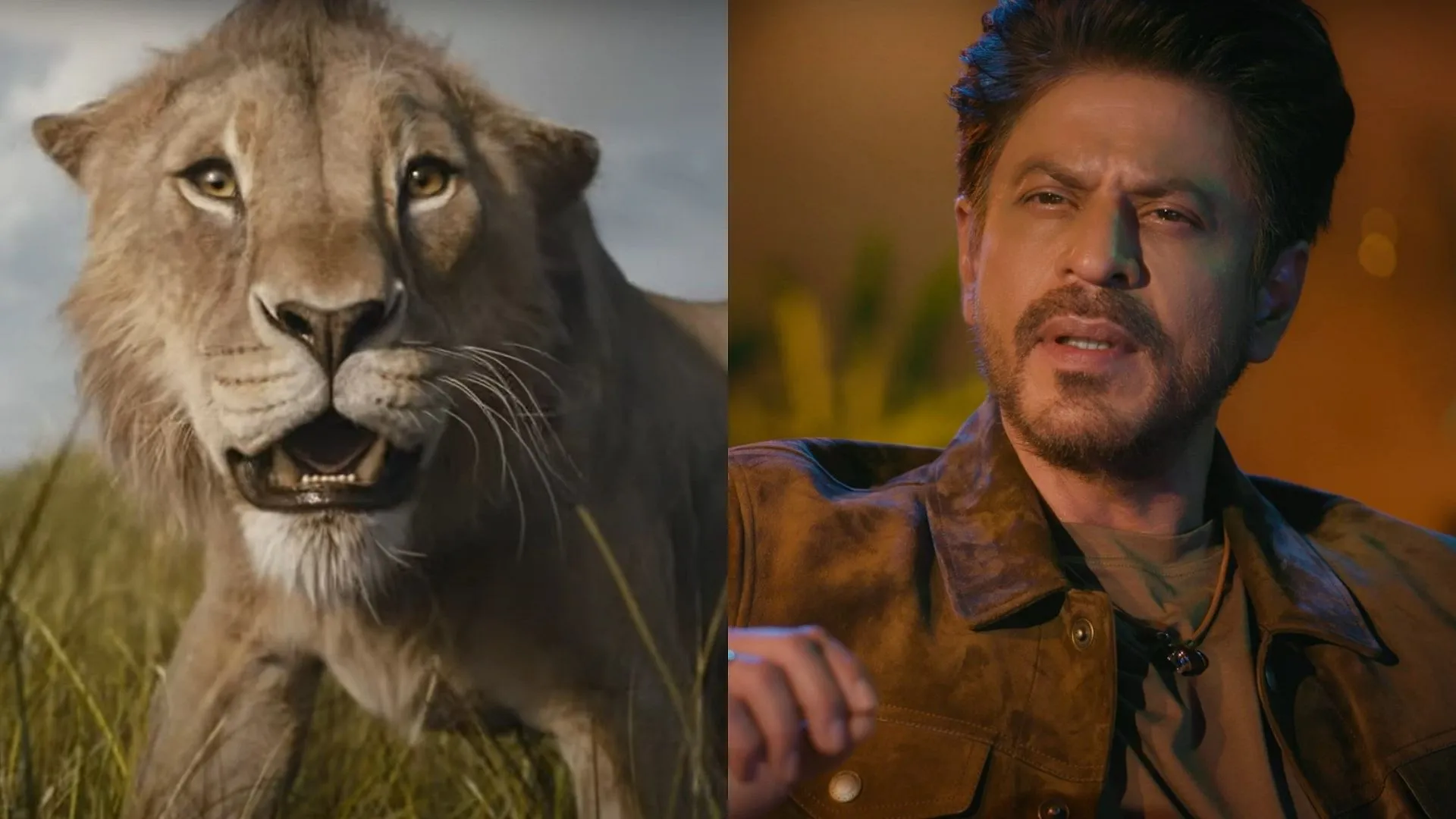 Shah Rukh Khan Reveals His Hair Was Like Mufasa The Lion King When He Was  Younger - Entertainment News: Amar Ujala - Shah Rukh Khan:'जब मैं छोटा था,  मेरे बाल मुफासा जैसे