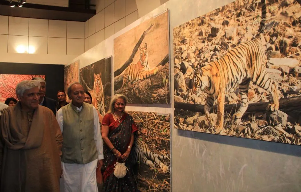 मुंबई में जावेद अख्तर ने यूनियन मिनिस्टर कमल मोरारका के नवीनतम एक्सिबिशन द बिग कैट्स का उदघाटन किया