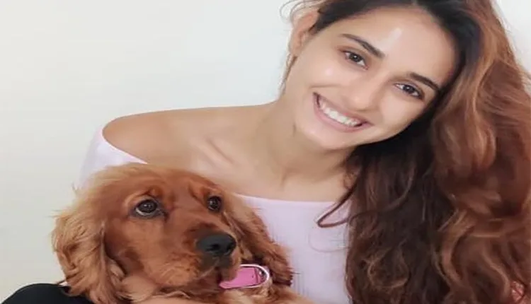 अपने Pets पर जान छिड़कते हैं ये बॉलीवुड स्टार्स...देखें तस्वीरें