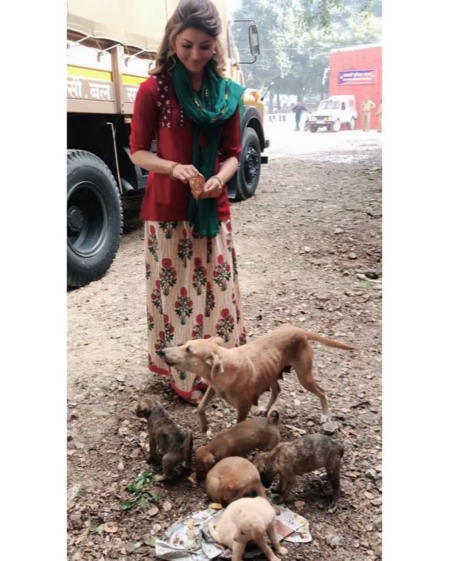 उर्वशी रौतेला ने लॉकडाउन के बीच भूखे आवारा जानवरों के दुःख को समझा।