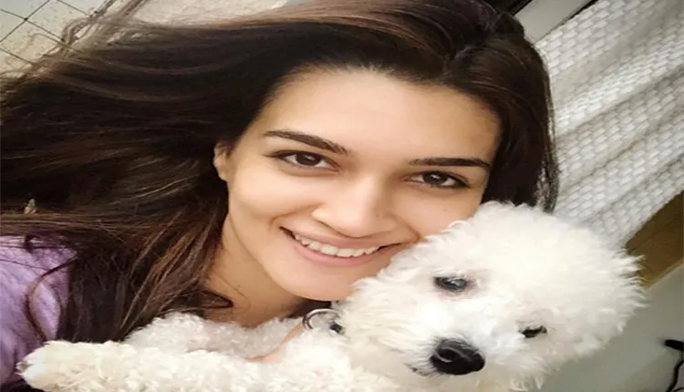 अपने Pets पर जान छिड़कते हैं ये बॉलीवुड स्टार्स...देखें तस्वीरें