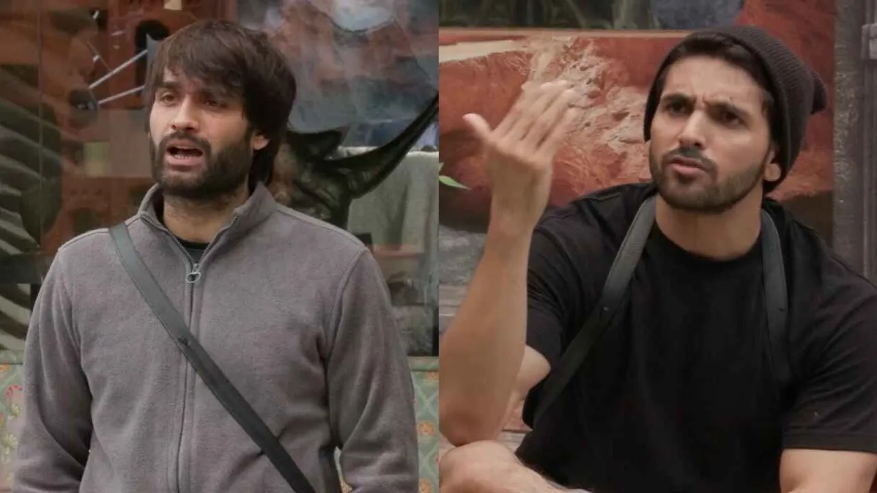 Vivian Dsena, Shehzada Dhami