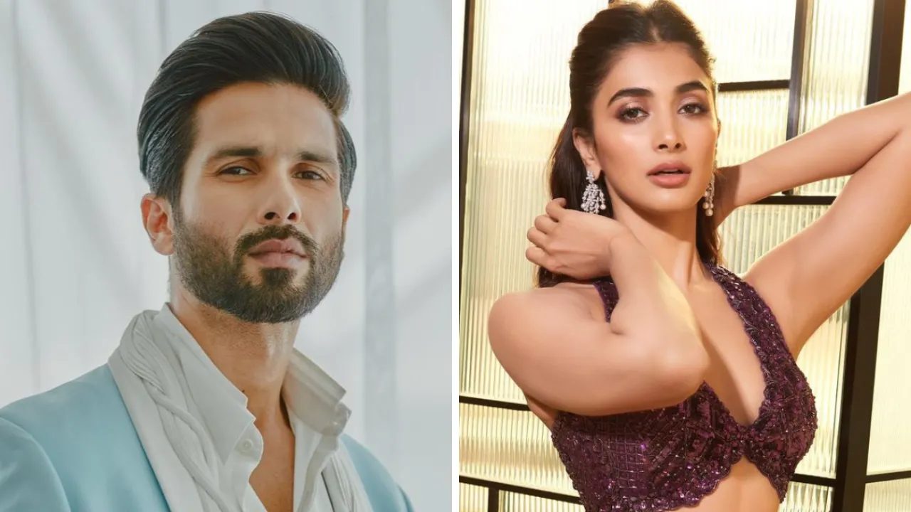 Are Shahid Kapoor, Pooja Hegde Teaming Up For A Film? All Deets About New  On-Screen Jodi, Bollywood News News | Zoom TV