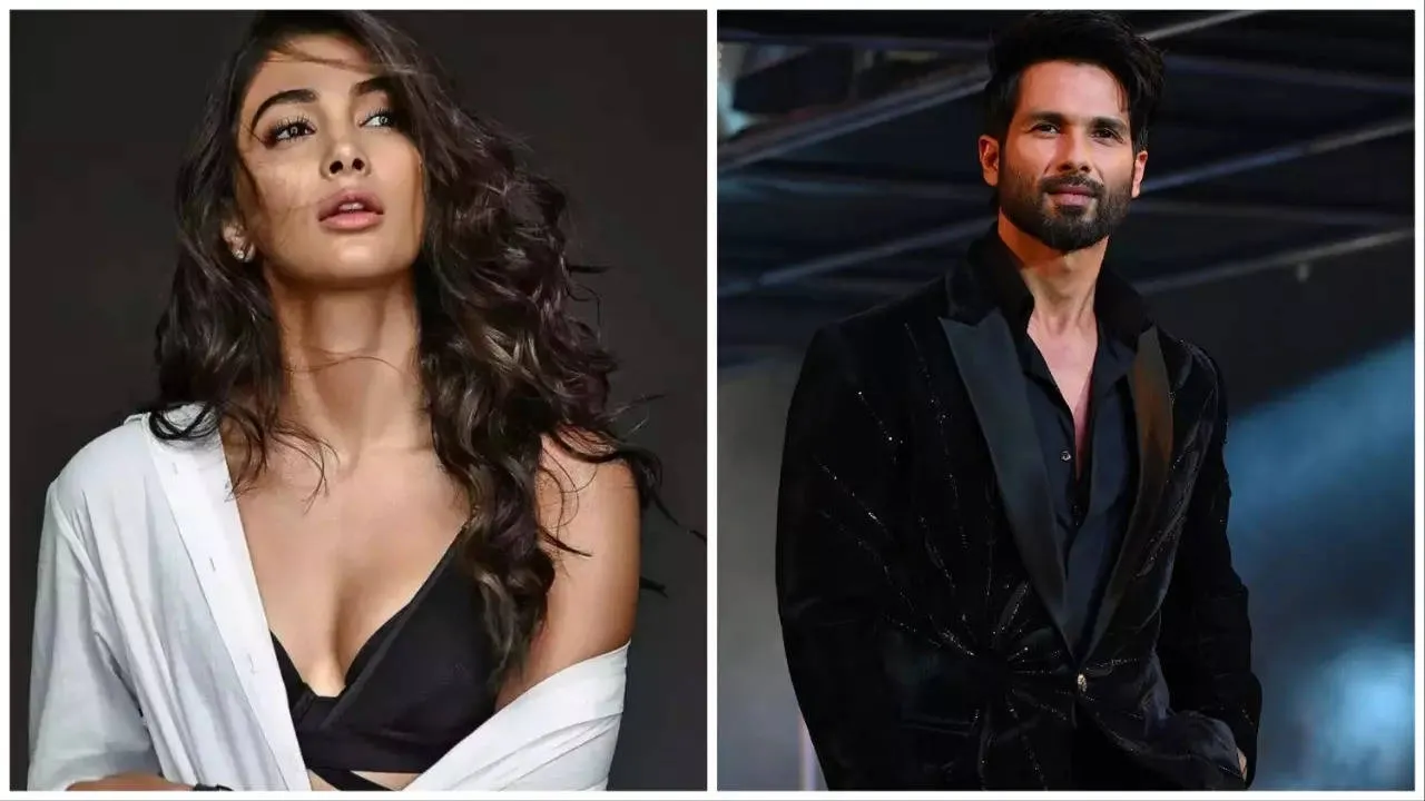 Pooja Hegde To Star in Shahid Kapoor's Next - पूजा हेगड़े के हाथ लगी शाहिद  कपूर की नेक्स्ट थ्रिलर, ऑनस्क्रीन धमाल मचाएगी जोड़ी | बॉलीवुड News, Times  Now Navbharat