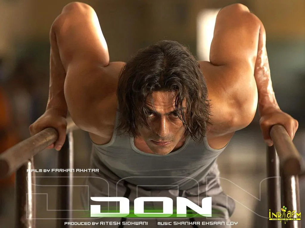 Don – The Chase Begins Again 2006 Wallpapers | Don – The Chase Begins Again  2006 HD Images | Photos arjun-rampal-29 - Bollywood Hungama