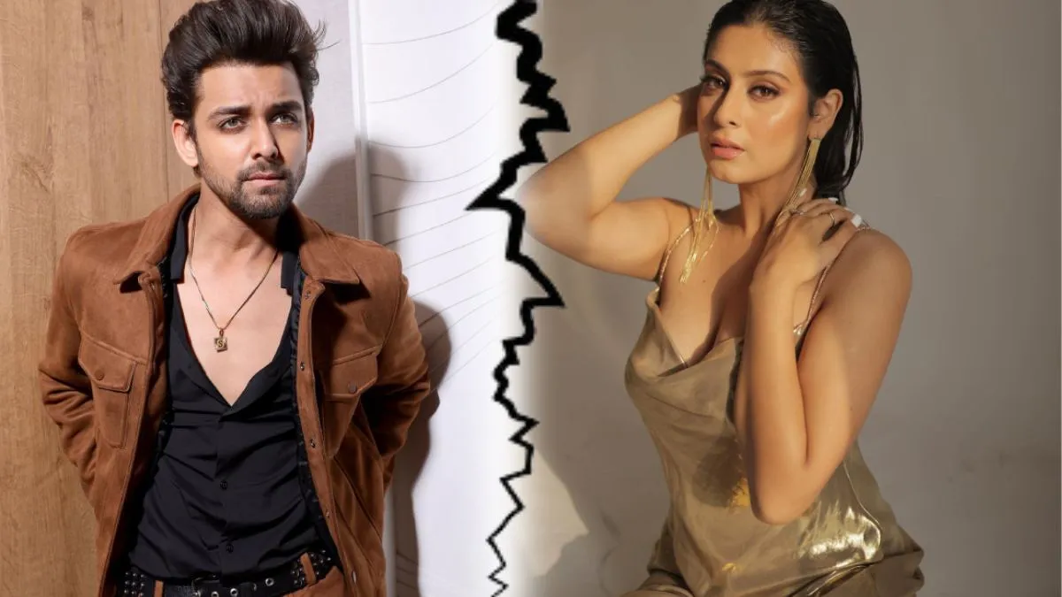 Bigg Boss के एक और कपल के ब्रेकअप की चर्चा, इंस्टाग्राम से मिले संकेत - Isha  Malviya Samarth Jurel Breakup confirm Bigg Boss 17 couple unfollow each  other on Instagram