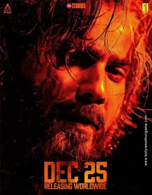 Baby John Movie: Review | Release Date (2024) | Songs | Music | Images |  Official Trailers | Videos | Photos | News - Bollywood Hungama