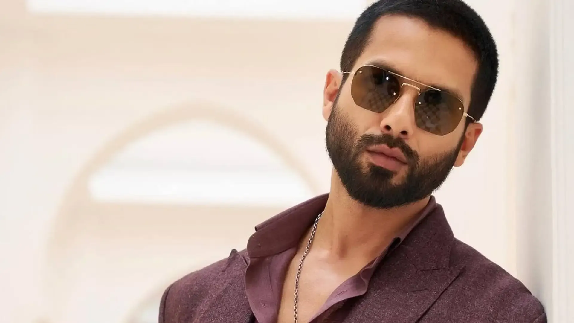 Shahid Kapoor On 'Deva': It's A Thriller So Hopefully....