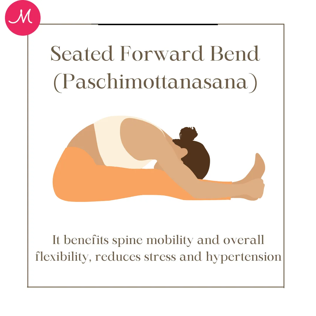 Seated Forward Bend